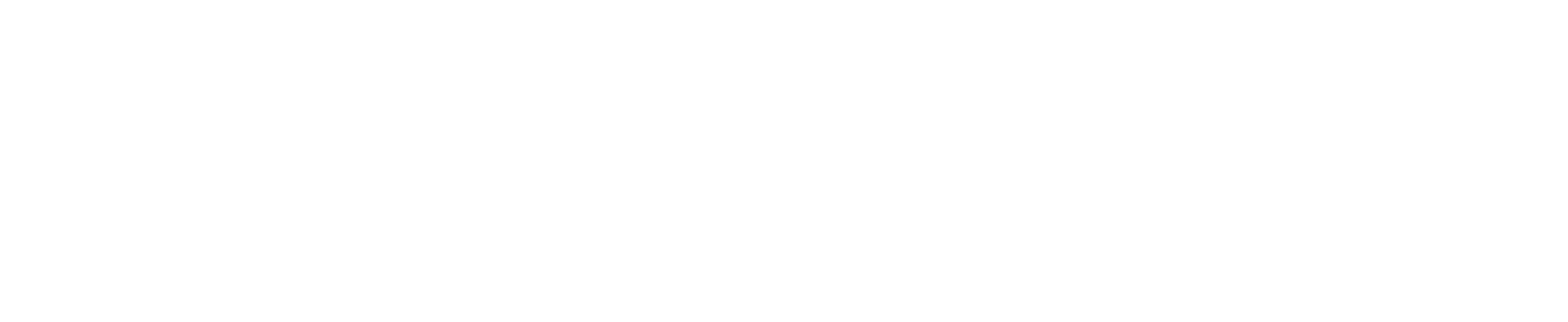 FN Capital